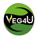 veg-4u_Lingass