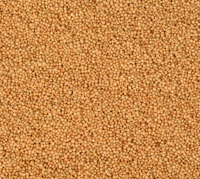 Christy Foods