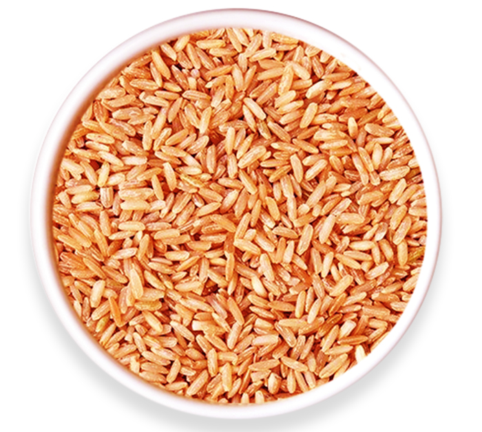 Christy Foods